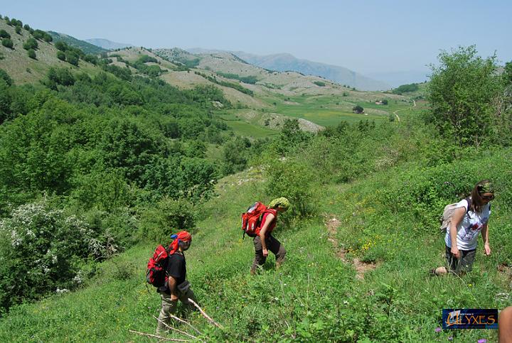 tra le colline in cerca di orchidee.JPG